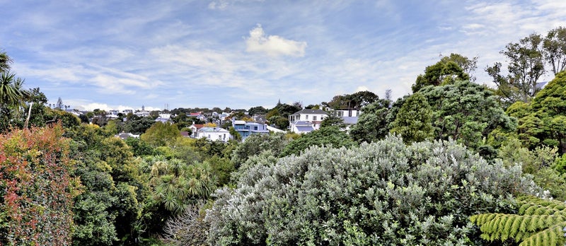 6 Scarborough Terrace, Parnell, Auckland - Carousel 2