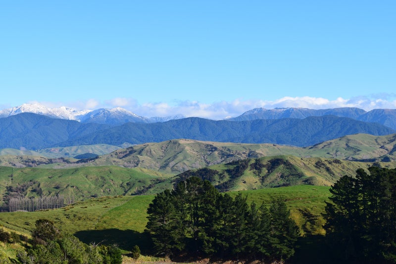 0 Dorsets Rd, Rangitumau - Carousel 14