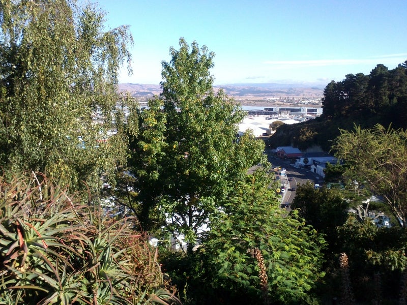 58 Simla Terrace, Hospital Hill, Napier - Carousel 2