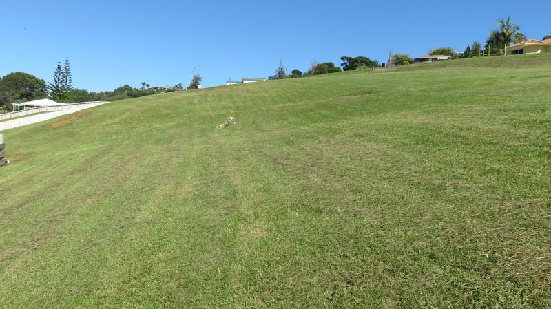 15 Hibiscus Avenue, Cable Bay, Cable Bay - Carousel 9