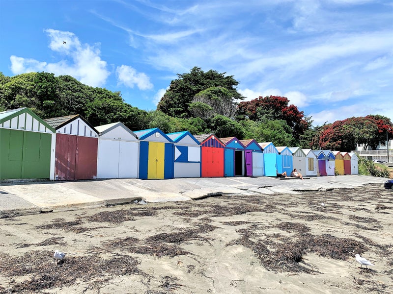 12 Bay Drive, Titahi Bay, Porirua - Carousel 12