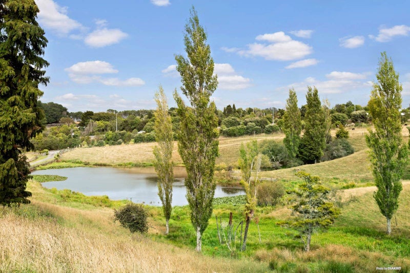 41 Jimeda Road, Pokeno - Carousel 26