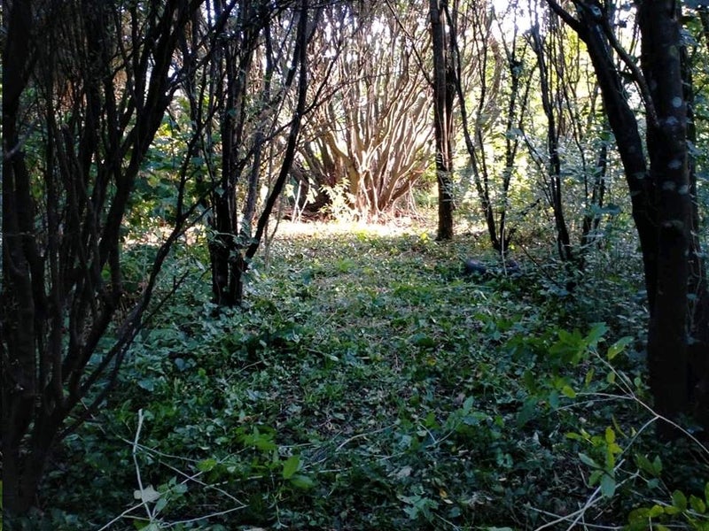 49 Handyside Street, Tawa, Wellington - Carousel 2