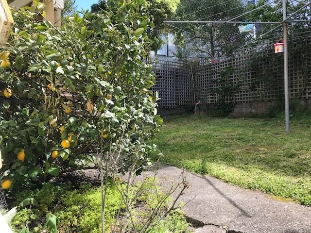 5 Goring Street, Thorndon, Wellington - Carousel 13