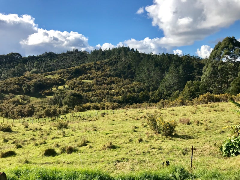 174 Burma Road, Peria, Kaitaia - Carousel 6