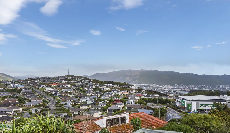 172 Conclusion Street, Ascot Park, Porirua - Carousel 21