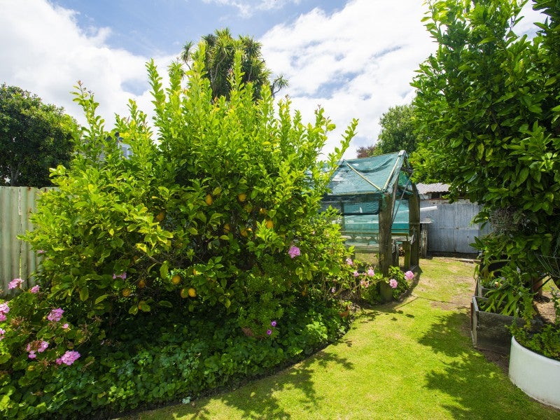 7 Asquith Street, Te Hapara, Gisborne - Carousel 26