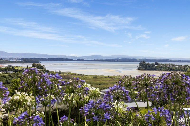 70 The Drive, Brookfield, Tauranga - Carousel 2