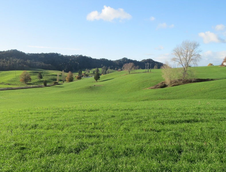 0 Waitomo Caves Road, Waitomo, Te Kuiti - Carousel 2