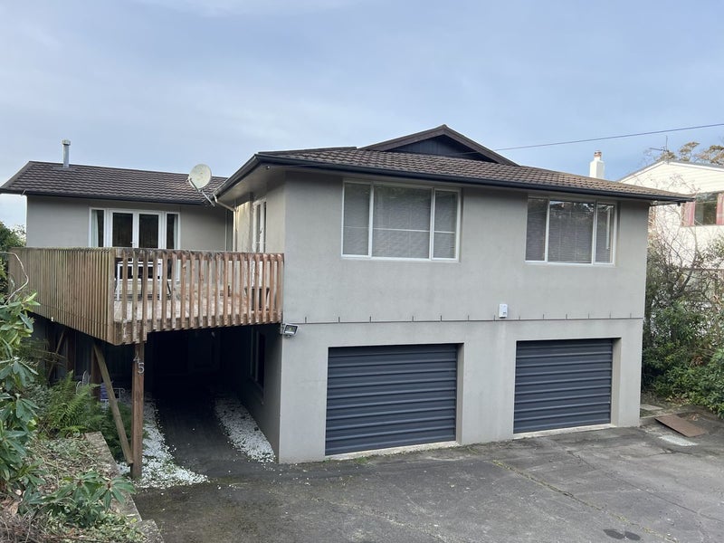 45 Leven Street, Roslyn, Dunedin - Carousel 1