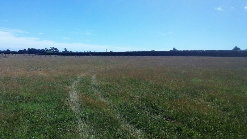 169 Spur Road West, Colyton, Feilding - Carousel 2