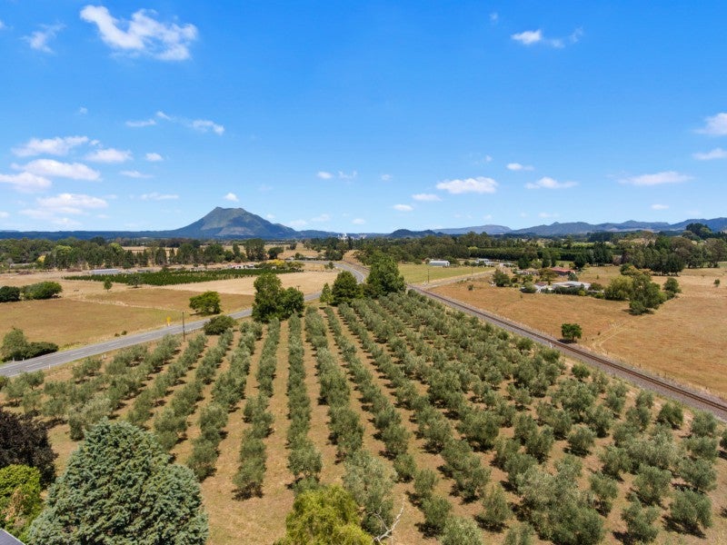 167 Hallett Road, Otakiri, Whakatane - Carousel 2