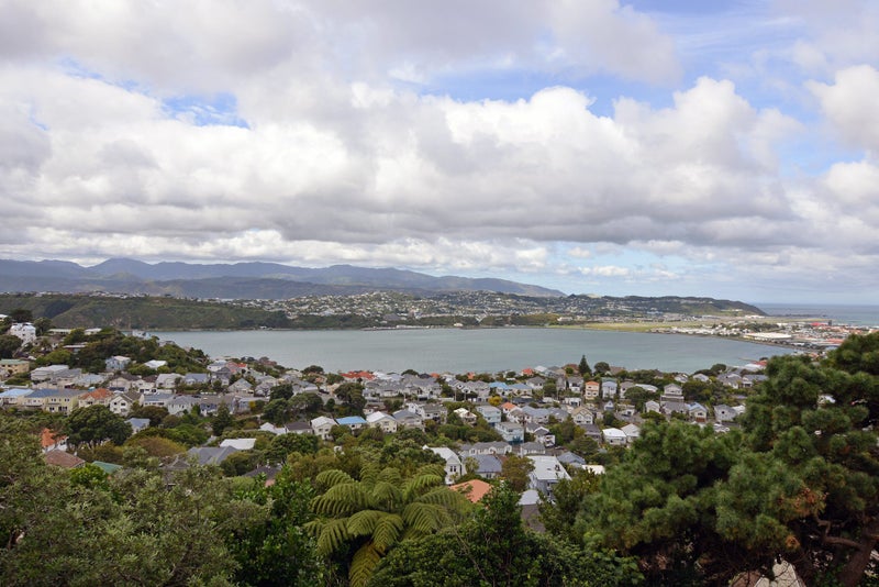 22 Marewa Road, Hataitai, Wellington - Carousel 6