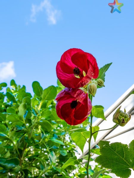 60 Ava Street, Petone, Lower Hutt - Carousel 2