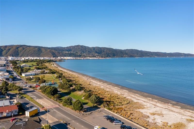 16 Collins Street, Petone, Lower Hutt - Carousel 28