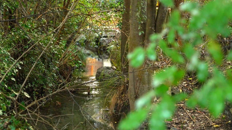 11 Royds Street, Fendalton, Christchurch - Carousel 19