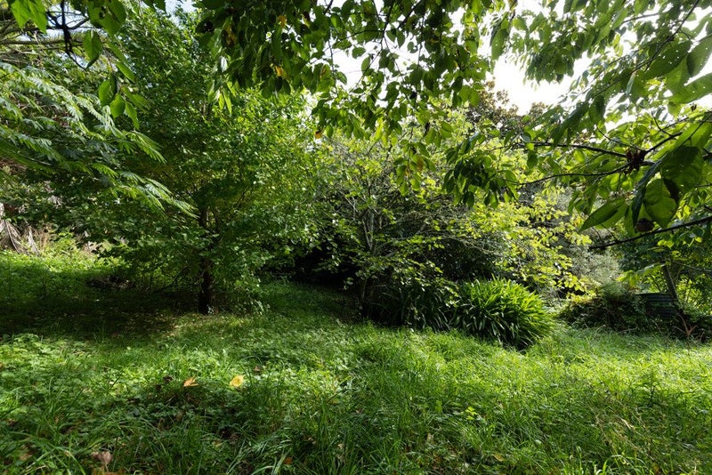 18 Joseph Street, Pukemiro - Carousel 24