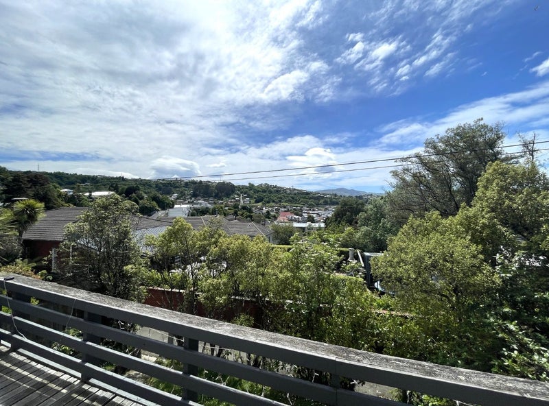 82 Hazelhurst Pass, Caversham, Dunedin - Carousel 20