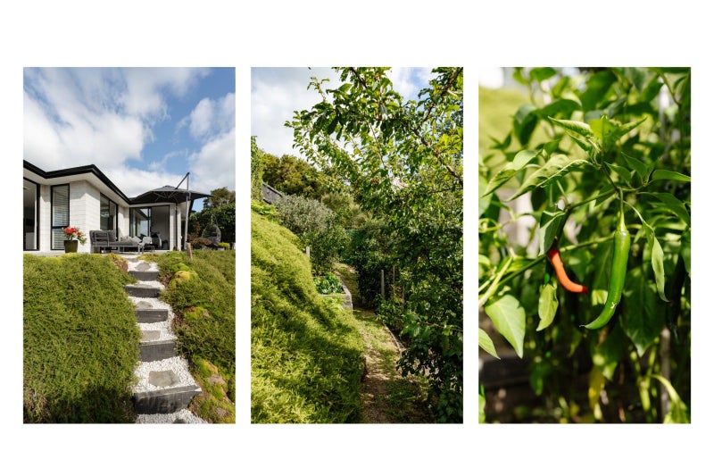 83 Adler Drive, Ohauiti, Tauranga - Carousel 15