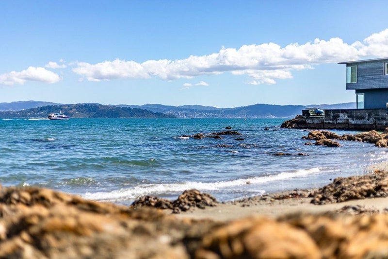 609 Marine Drive, Days Bay, Lower Hutt - Carousel 2