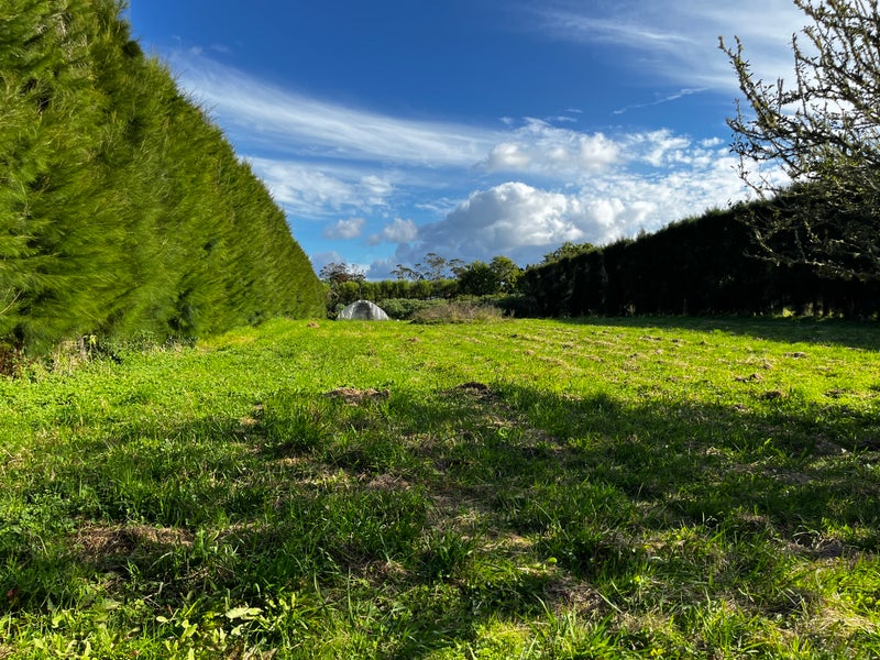 10 Riverlea Road, Whenuapai, Auckland - Carousel 1