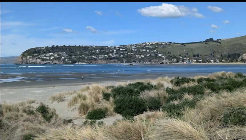 209 Rocking Horse Road, Southshore, Christchurch - Carousel 29