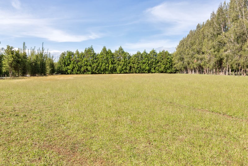 11 Proctor Road, Whangarei - Carousel 15