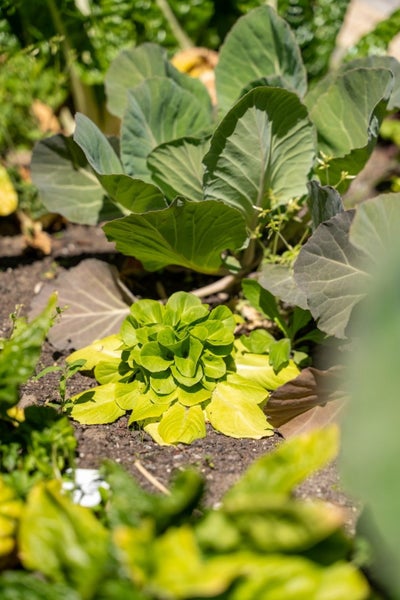 8 Sienna Court, Aidanfield, Christchurch - Carousel 32