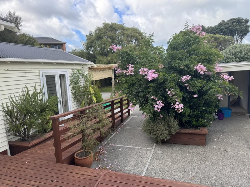 22 North Street, Petone, Lower Hutt - Carousel 17