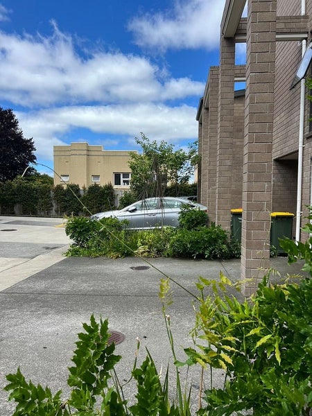 1131E New North Road, Mount Albert, Auckland - Carousel 18