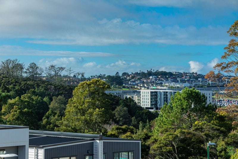 11 Waka Street, Albany Heights, Auckland - Carousel 17