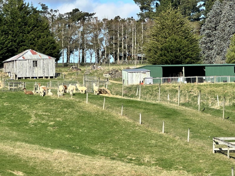 140 Three Mile Hill Road, North Taieri, Mosgiel - Carousel 1