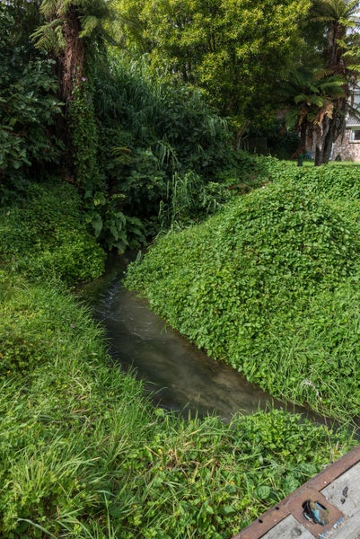 51C Robinson Avenue, Holdens Bay, Rotorua - Carousel 26