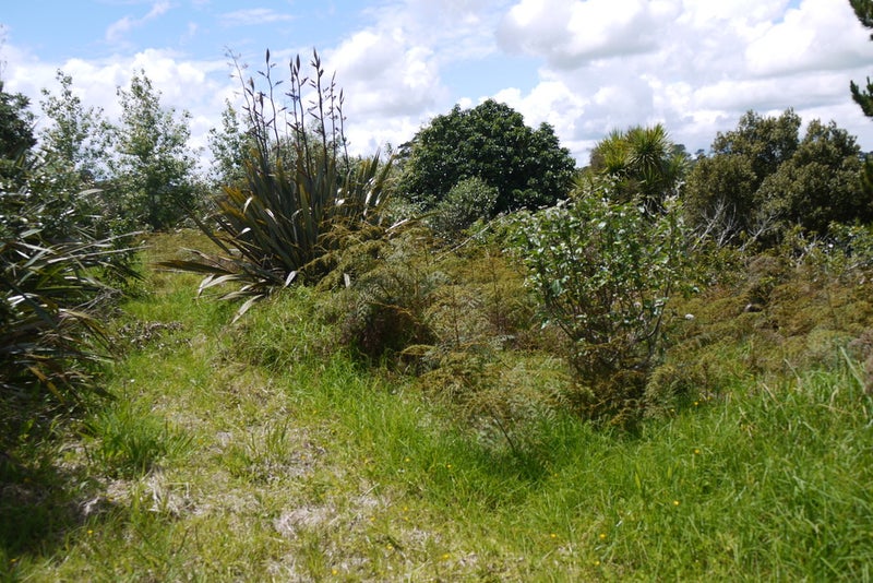 168 Run Road, Wharehine, Wellsford - Carousel 2