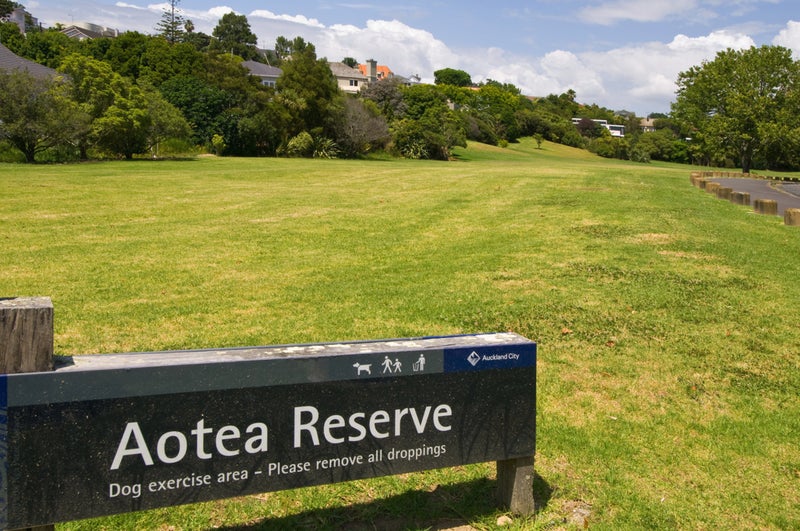 2B Nihill Crescent, Orakei, Auckland - Carousel 26