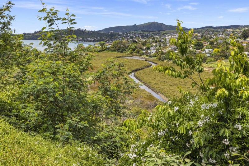 72 Hammond Street, Hairini, Tauranga - Carousel 15