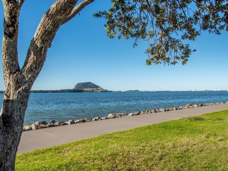 54 Strathmore Street, Matua, Tauranga - Carousel 20