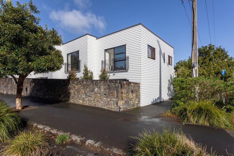 2A Wilton Street, Grey Lynn, Auckland - Carousel 1