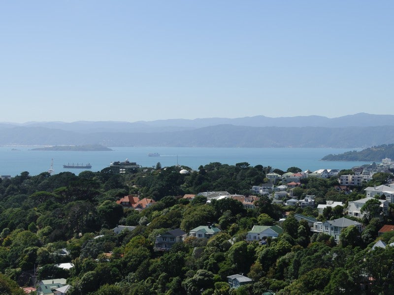 10 Thorby Street, Northland, Wellington - Carousel 2