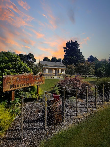 3 Miro Street, Manunui, Taumarunui - Carousel 22