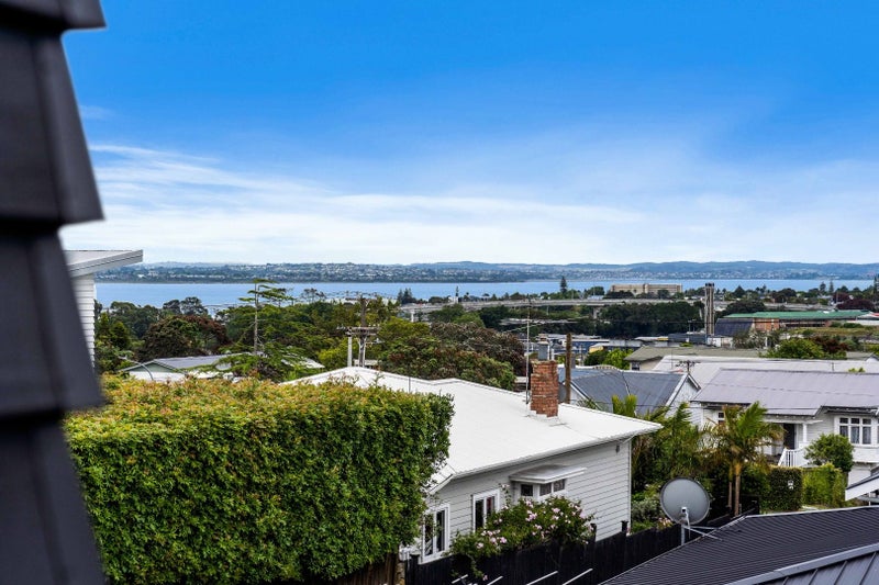 13A Seaview Terrace, Mount Albert, Auckland - Carousel 18