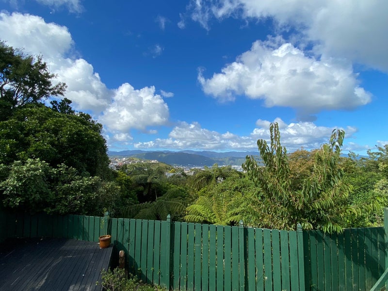 10A Camellia Terrace, Maungaraki, Lower Hutt - Carousel 15