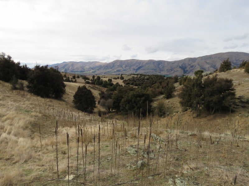 178 Fay Lane, Queensberry, Cromwell - Carousel 26