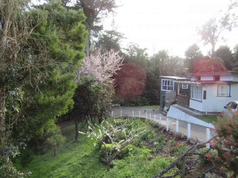 229 Stout Street, Mangapapa, Gisborne - Carousel 2