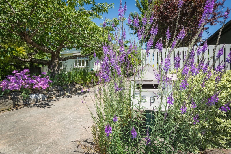 59 Petrie Street, Richmond, Christchurch - Carousel 21