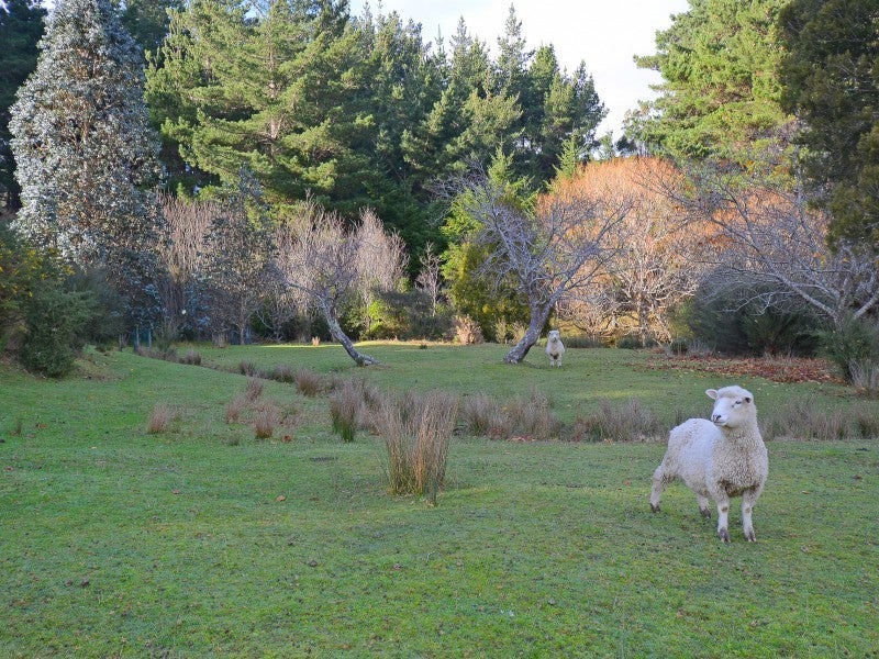 450 Main Road North, Timberlea, Upper Hutt - Carousel 20