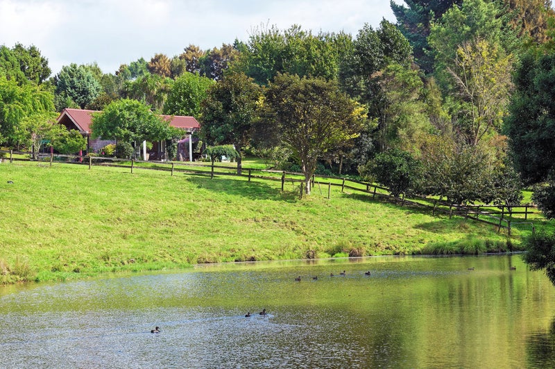 17 Buttercup Place, Waimauku, Waimauku - Carousel 21