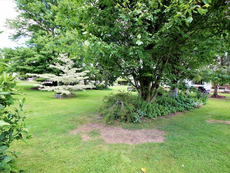 951 McClure Street, Pirongia, Pirongia - Carousel 2