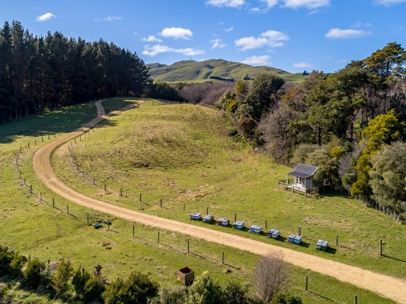 551 Bluff-Rangitumau Road, RANGITUMAU, MASTERTON - Carousel 2