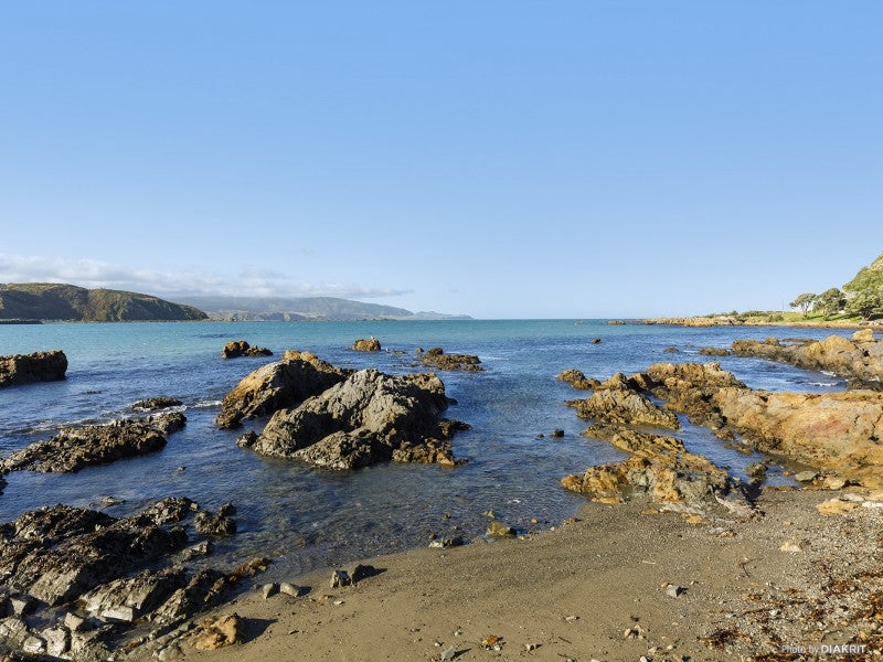 277 Queens Dr, Lyall Bay, Wellington - Carousel 2